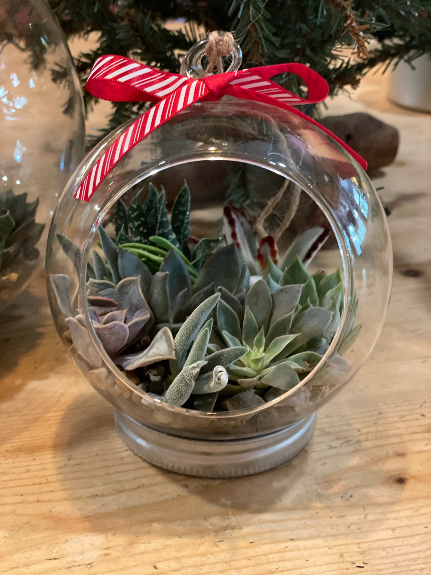 glass succulent ornament small