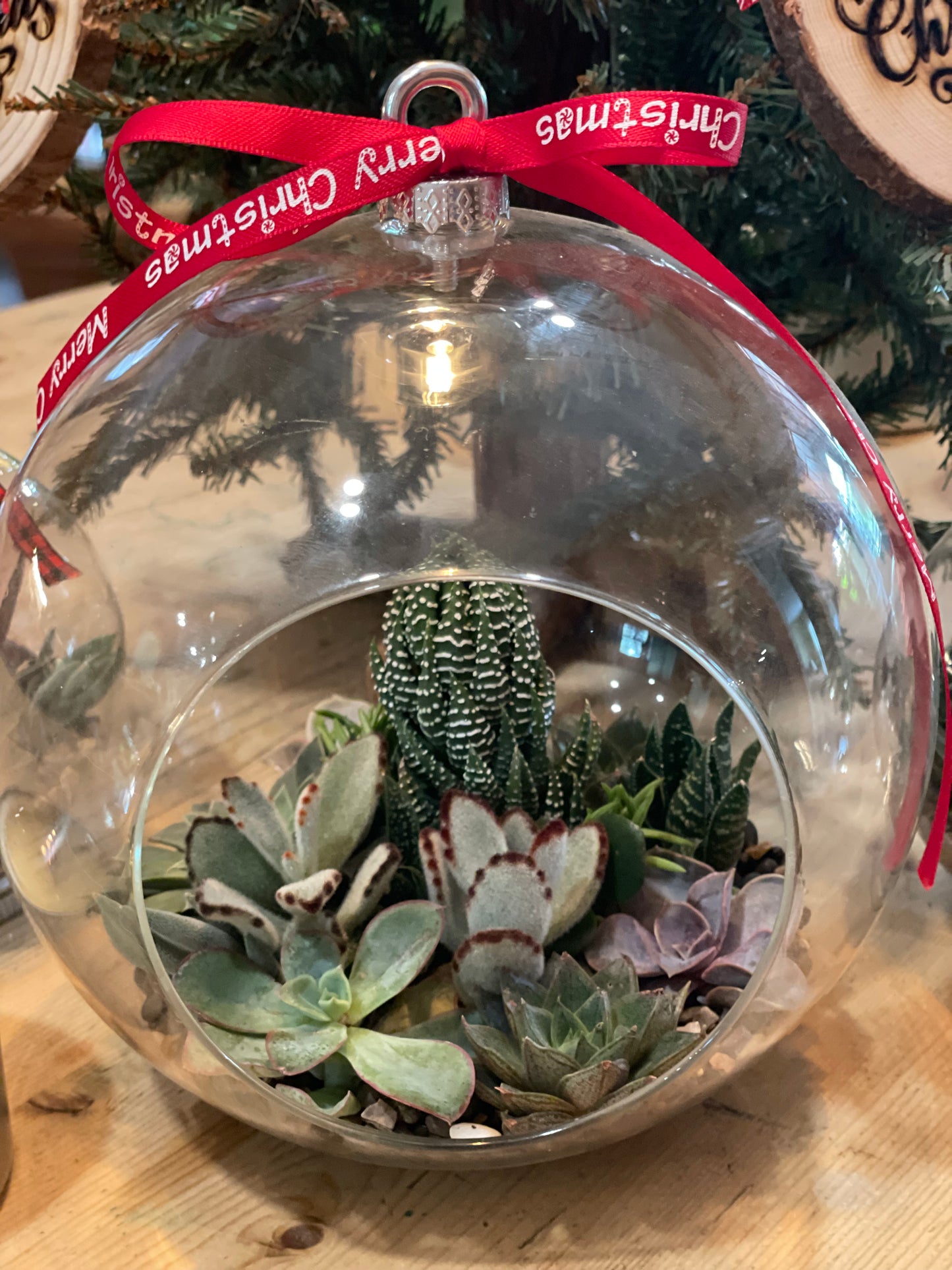 glass succulent ornament Large